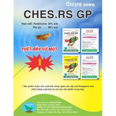CHES.RS GP OSCARE 600WG