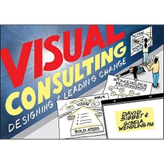 Visual Consulting: Designing and Leading Change