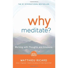 Why Meditate: Working with Thoughts and Emotions