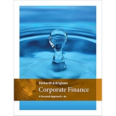Corporate Finance: A Focused Approach 6th Edition