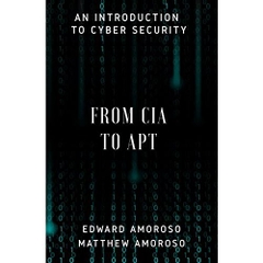 From CIA to APT: An Introduction to Cyber Security