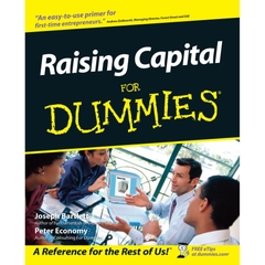 Raising Capital For Dummies