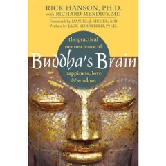 Buddha's Brain: The Practical Neuroscience of Happiness, Love, and Wisdom (audiobook)