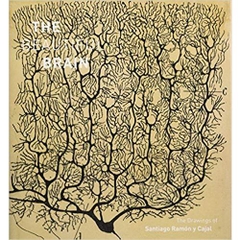 Beautiful Brain: The Drawings of Santiago Ramon y Cajal