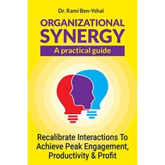 Organizational Synergy - A Practical Guide: Recalibrate Interactions to Achieve Peak Engagement, Productivity & Profit