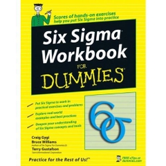 Six Sigma Workbook For Dummies