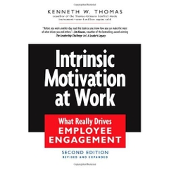 Intrinsic Motivation at Work: What Really Drives Employee Engagement