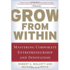 Grow from Within: Mastering Corporate Entrepreneurship and Innovation