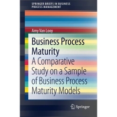 Business Process Maturity: A Comparative Study on a Sample of Business Process Maturity Models