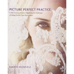 Picture Perfect Practice: A Self-Training Guide to Mastering the Challenges of Taking World-Class Photographs (Voices That Matter