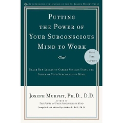 Putting the Power of Your Subconscious Mind to Work: Reach New Levels of Career Success Using the Power of Your Subconscious Mind