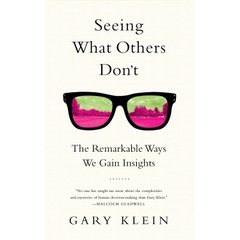 Seeing What Others Don't - The Remarkable Ways We Gain Insights