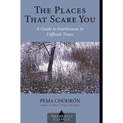 The Places that Scare You: A Guide to Fearlessness in Difficult Times