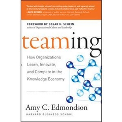 Teaming - How Organizations Learn, Innovate, and Compete in the Knowledge Economy