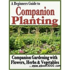A Beginners Guide to Companion Planting- Companion Gardening with Flowers, Herbs & Vegetables