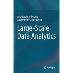 Large-Scale Data Analytics