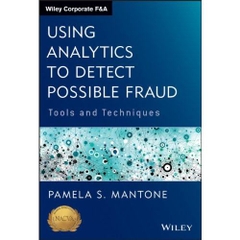 Using Analytics to Detect Possible Fraud: Tools and Techniques