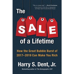 The Sale of a Lifetime: How the Great Bubble Burst of 2017-2019 Can Make You Rich