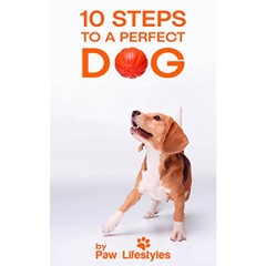 Dog Training: 10 Steps To A Perfect Dog