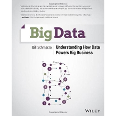 Big Data: Understanding How Data Powers Big Business