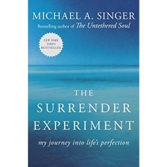 The Surrender Experiment: My Journey into Life's Perfection