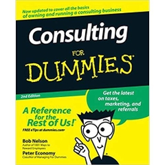 Consulting For Dummies 2nd Edition