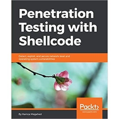 Penetration Testing with Shellcode: Detect, exploit, and secure network-level and operating system vulnerabilities