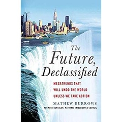 The Future, Declassified: Megatrends That Will Undo the World Unless We Take Action