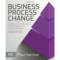 Business Process Change: A Business Process Management Guide for Managers and Process Professionals