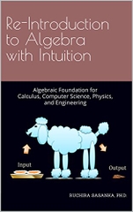 Re-Introduction to Algebra with Intuition: Algebraic Foundation for Calculus, Computer Science, Physics, and Engineering