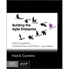 Building the Agile Enterprise: With Capabilities, Collaborations and Values (The MK/OMG Press)