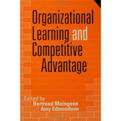 Organizational Learning and Competitive Advantage