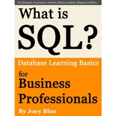 What is SQL? Database Learning Basics for Business Professionals, Managers, Accountants, Students, Business Analysts, Bloggers and More…