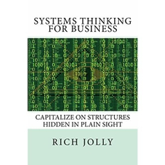 Systems Thinking for Business: Capitalize on Structures Hidden in Plain Sight