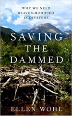 Saving the Dammed: Why We Need Beaver-Modified Ecosystems