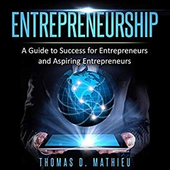 Entrepreneurship - A Guide to Success for Entrepreneurs and Aspiring Entrepreneurs