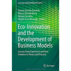 Eco-Innovation and the Development of Business Models: Lessons from Experience and New Frontiers in Theory and Practice