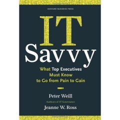 IT Savvy: What Top Executives Must Know to Go from Pain to Gain