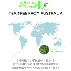 Nước Tẩy Trang The SAEM Healing Tea Cleansing Water 300ml