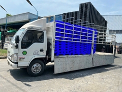 Pallet nhựa chuyên lót sàn kho lạnh  60x100 nhựa long an