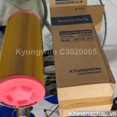 C3020005 Lọc khí máy nén Kyungwon AS31 AS21B