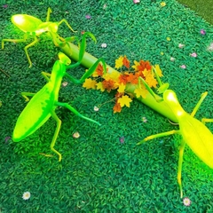 Đèn LED ZALAA Mô Phỏng Con Bọ Ngựa Mantis Năng Động Cho Vườn Ánh Sáng / Light Garden
