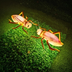 Đèn LED ZALAA Mô Phỏng Con Dế Mèn Crickets Năng Động Cho Vườn Ánh Sáng / Light Garden