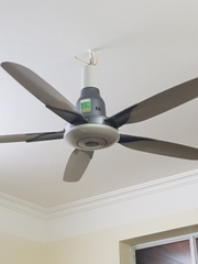 Quạt trần 1500 ĐKTX 5 cánh nhôm Vinawind (QT5C)