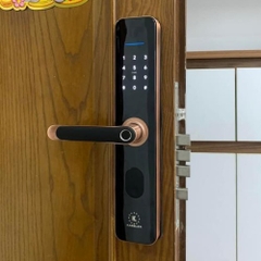 Khóa cửa vân tay Kassler KL-696 Red bronze app wifi, chống nước