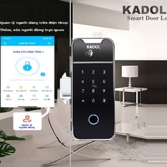 Khóa điện tử cửa kính Kadol K899 Pro, có bluetooth