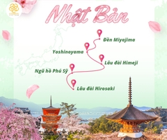 [HOA ANH ĐÀO- 4N4Đ] NHẬT BẢN: TOKYO - YAMANASHI - NÚI PHÚ SĨ - SAITAMA | BAY VIETJET