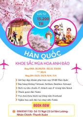 HOA ANH ĐÀO HÀN QUỐC