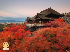 Tour du lịch Nhật Bản tháng 10 - Mùa thu lá đỏ