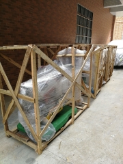 Motor đua (Tính xu)